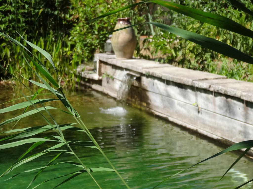 Jardin De Canaan Saint-Julien-de-Chédon Exteriér fotografie